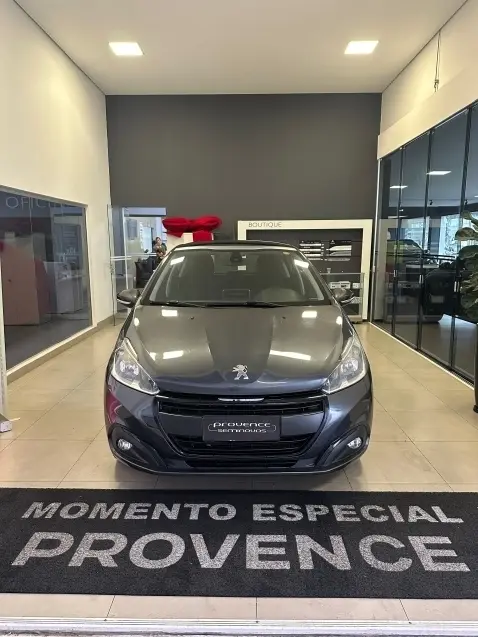 galeria 208