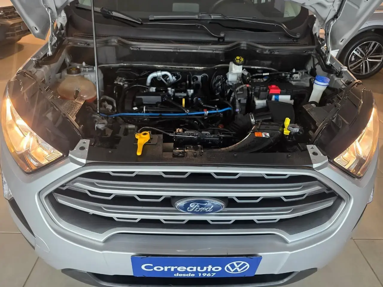 galeria ECOSPORT