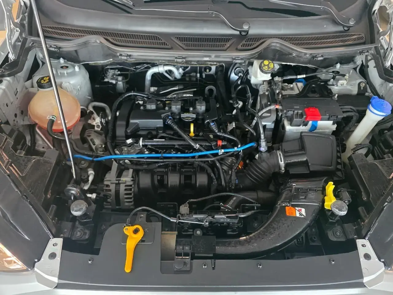 galeria ECOSPORT