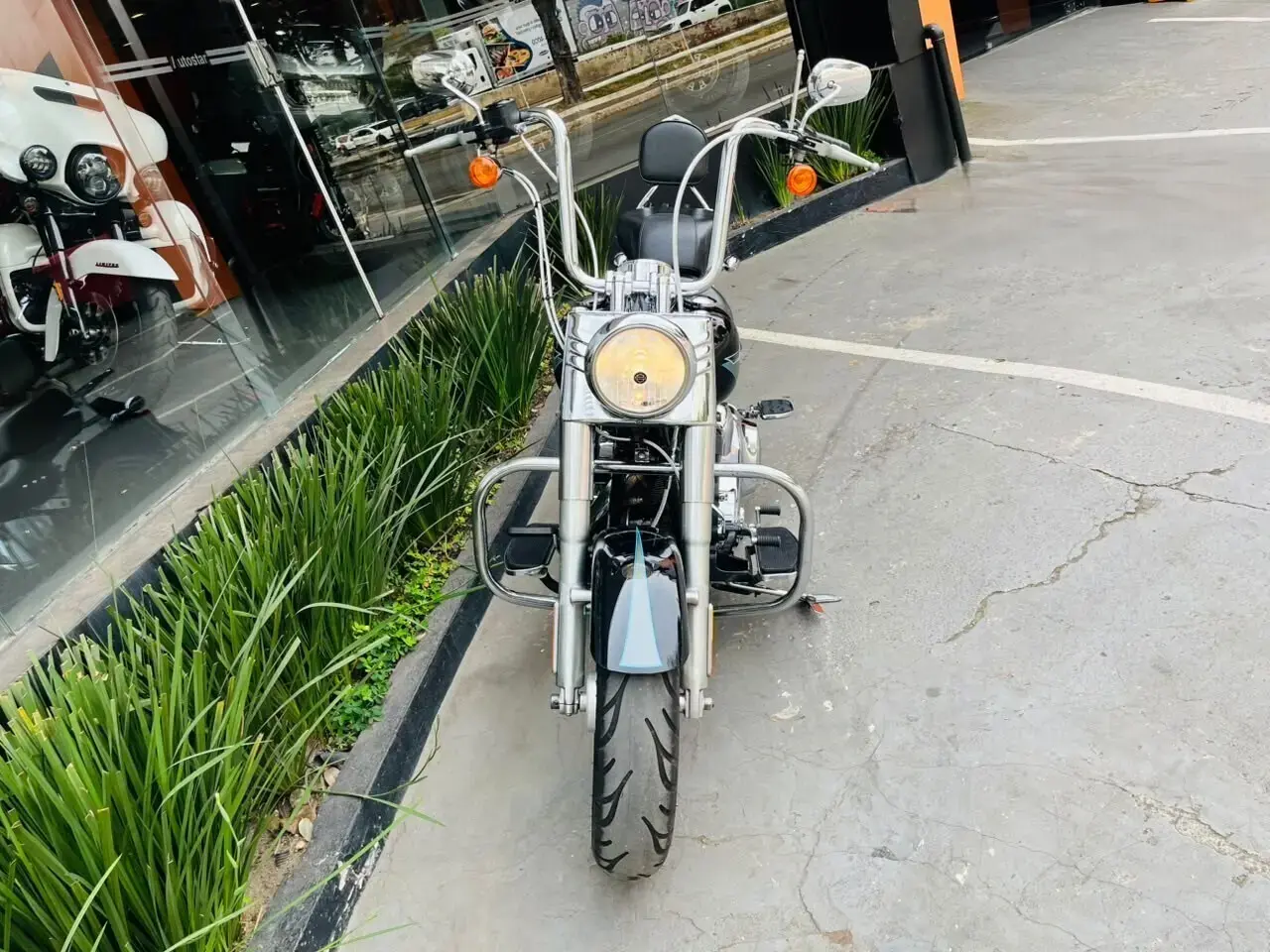 galeria Fat Boy FLSTF