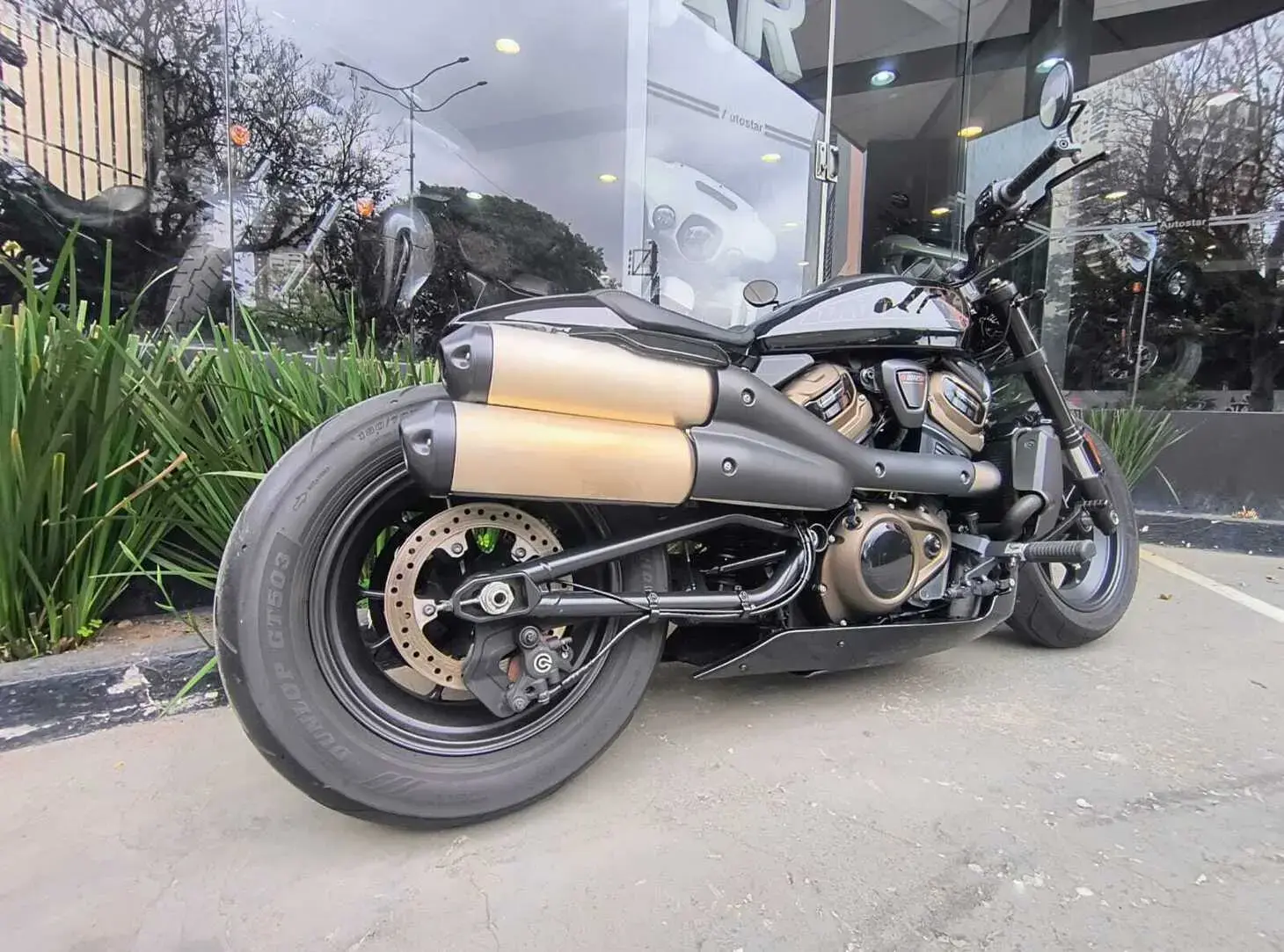 galeria Sportster