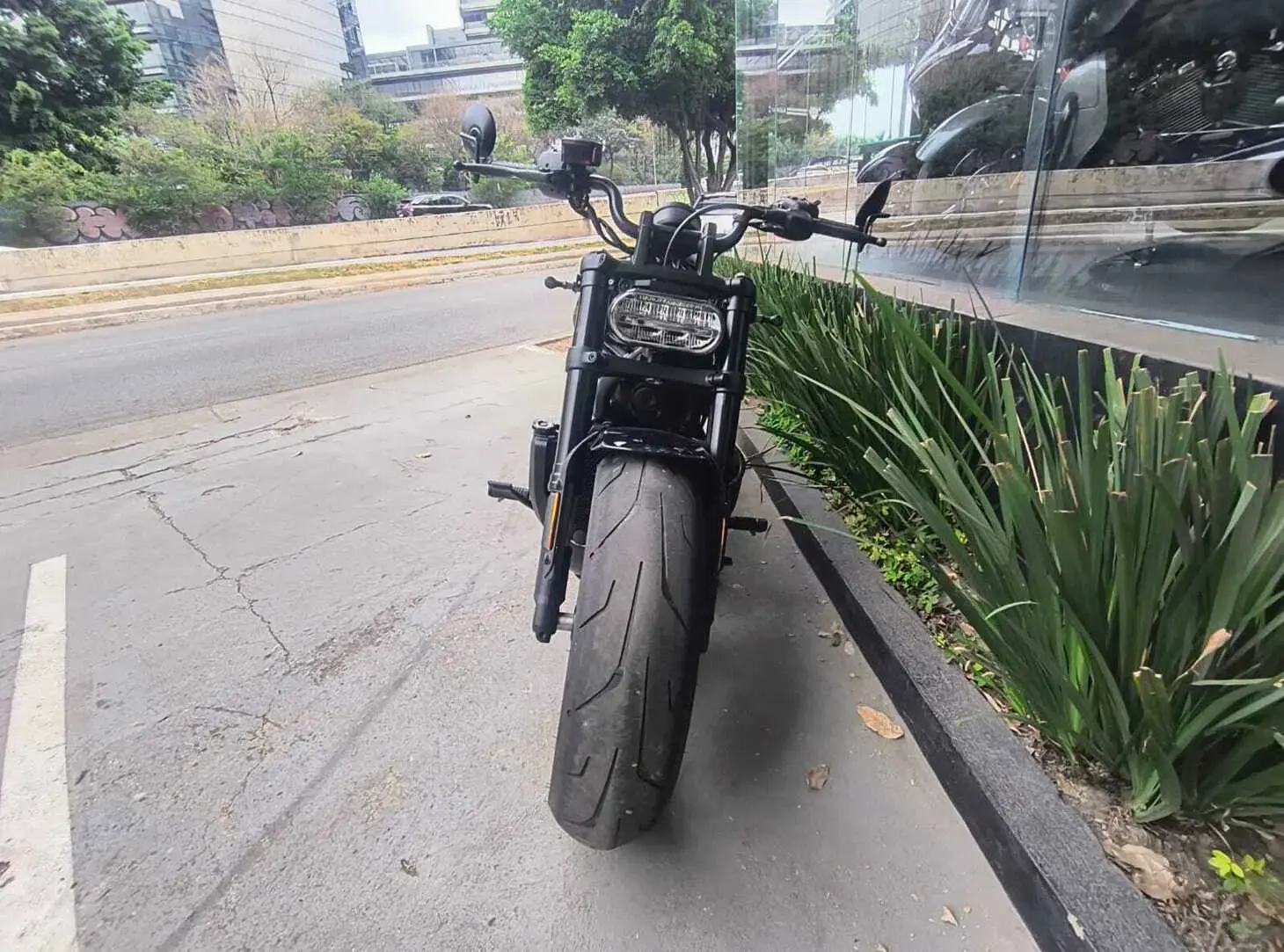 galeria Sportster