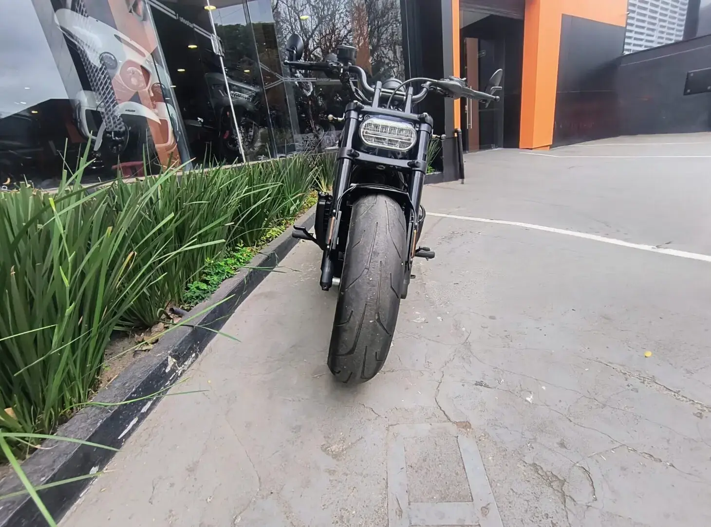 galeria Sportster
