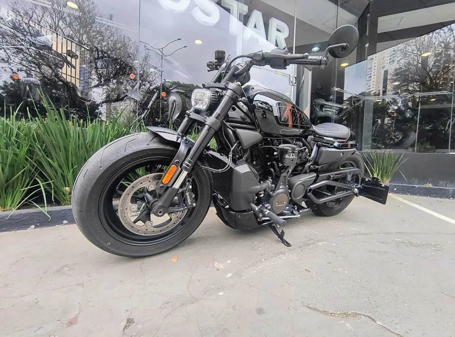galeria Sportster