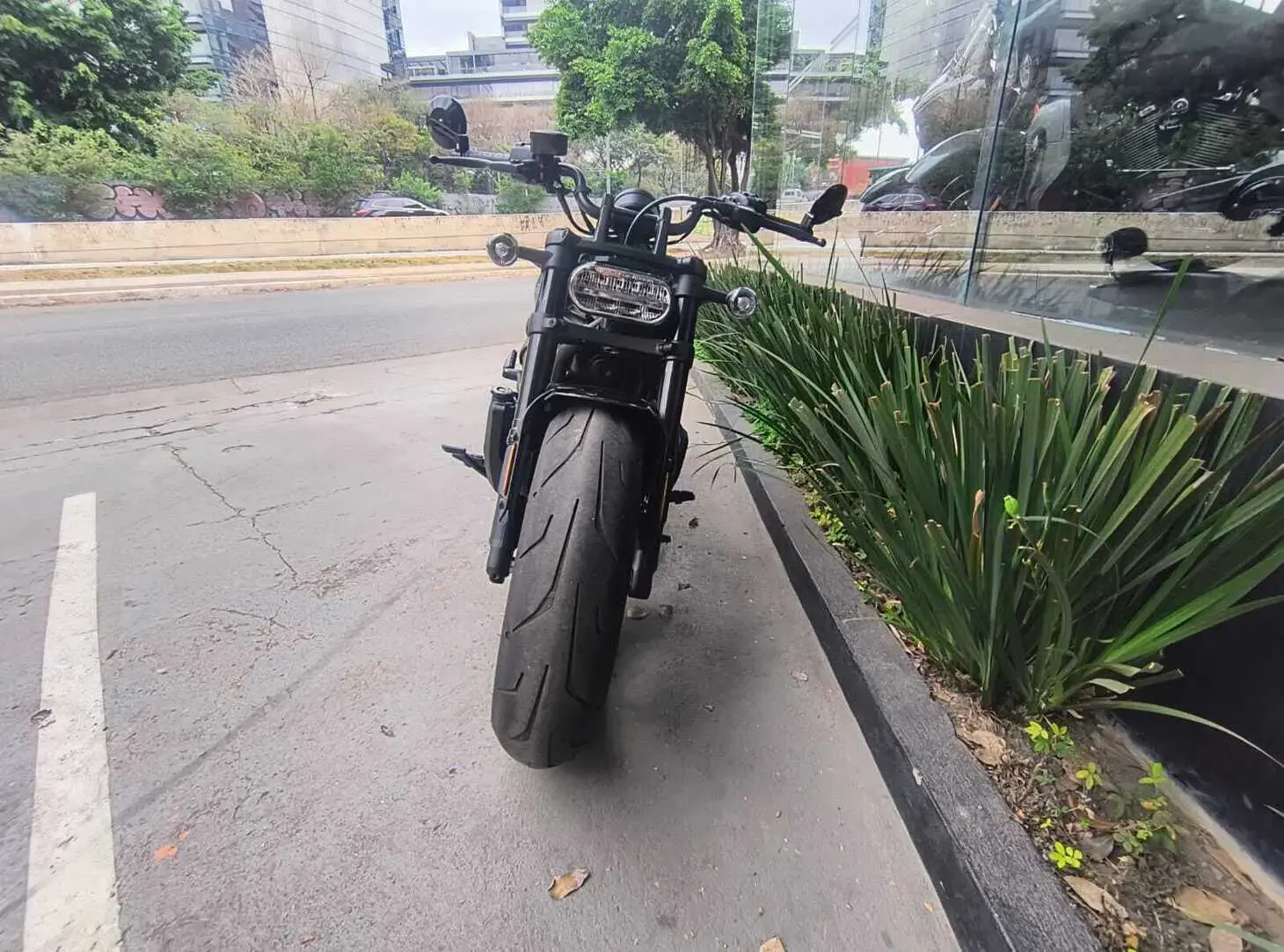 galeria Sportster