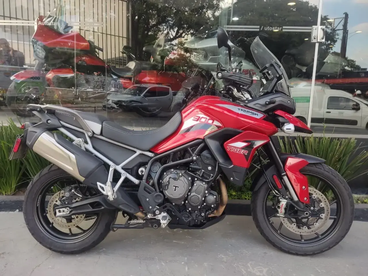 galeria Tiger 900