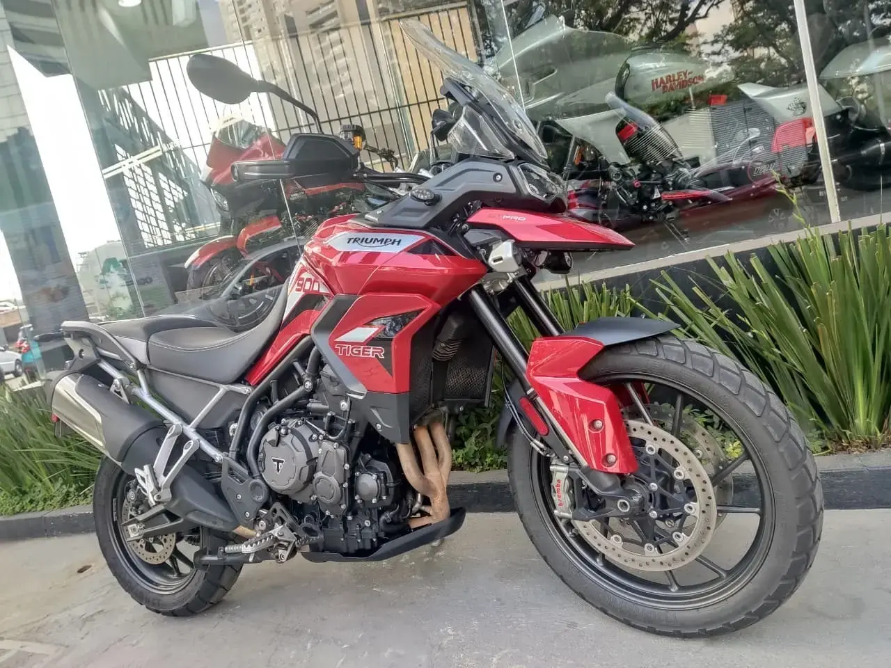 galeria Tiger 900