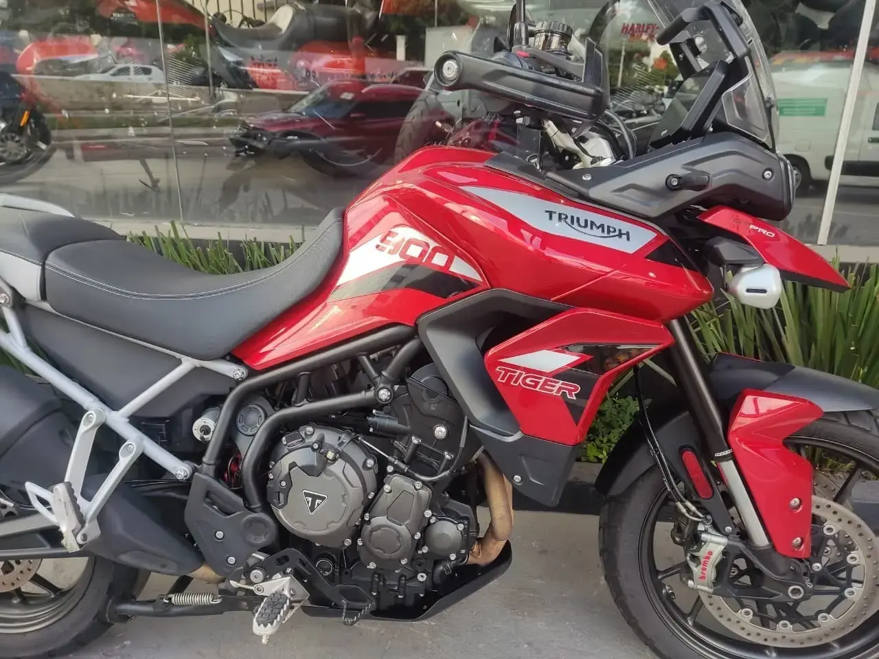 galeria Tiger 900