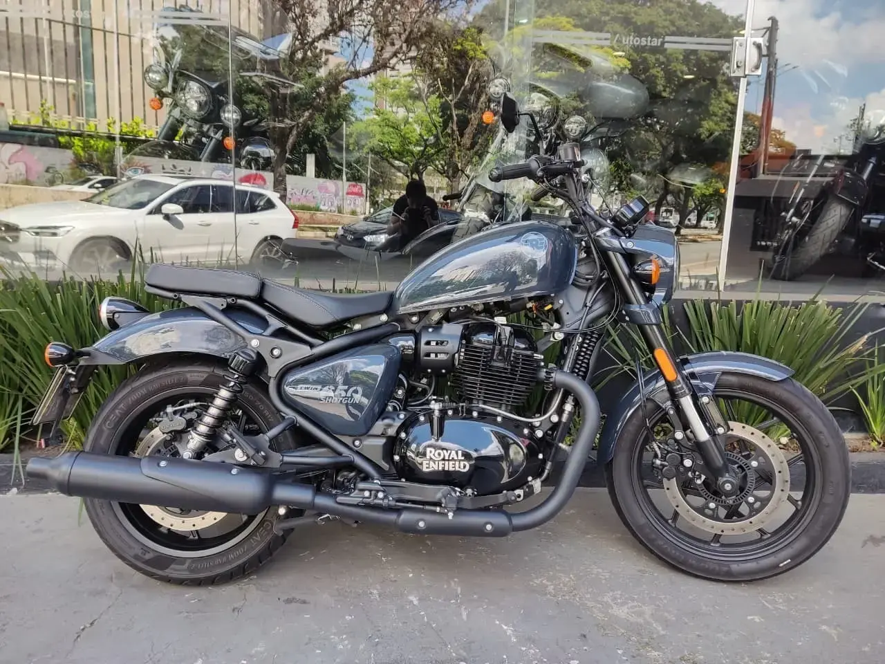 galeria Shotgun 650