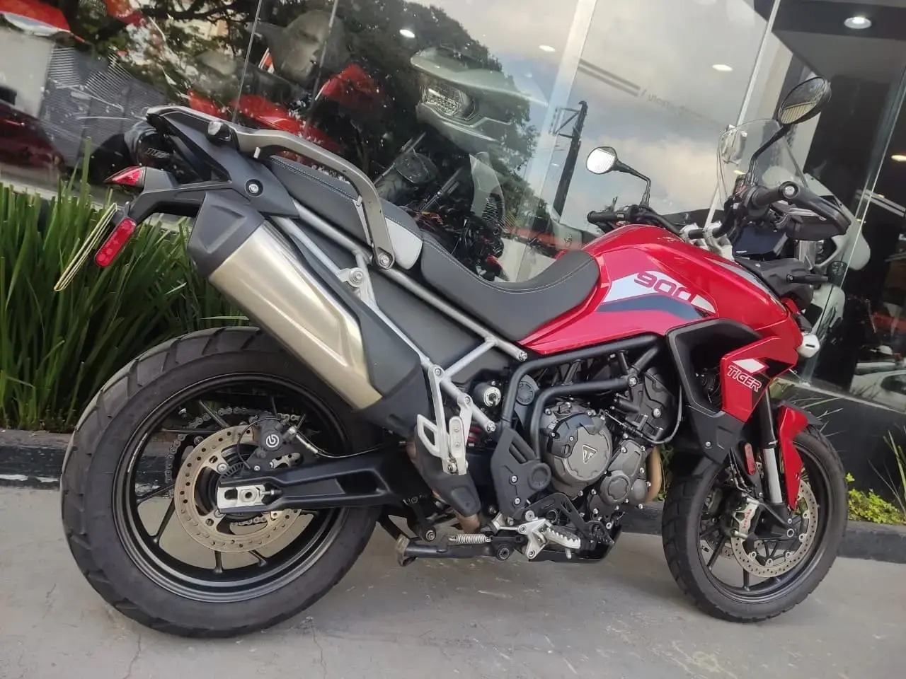 galeria Tiger 900