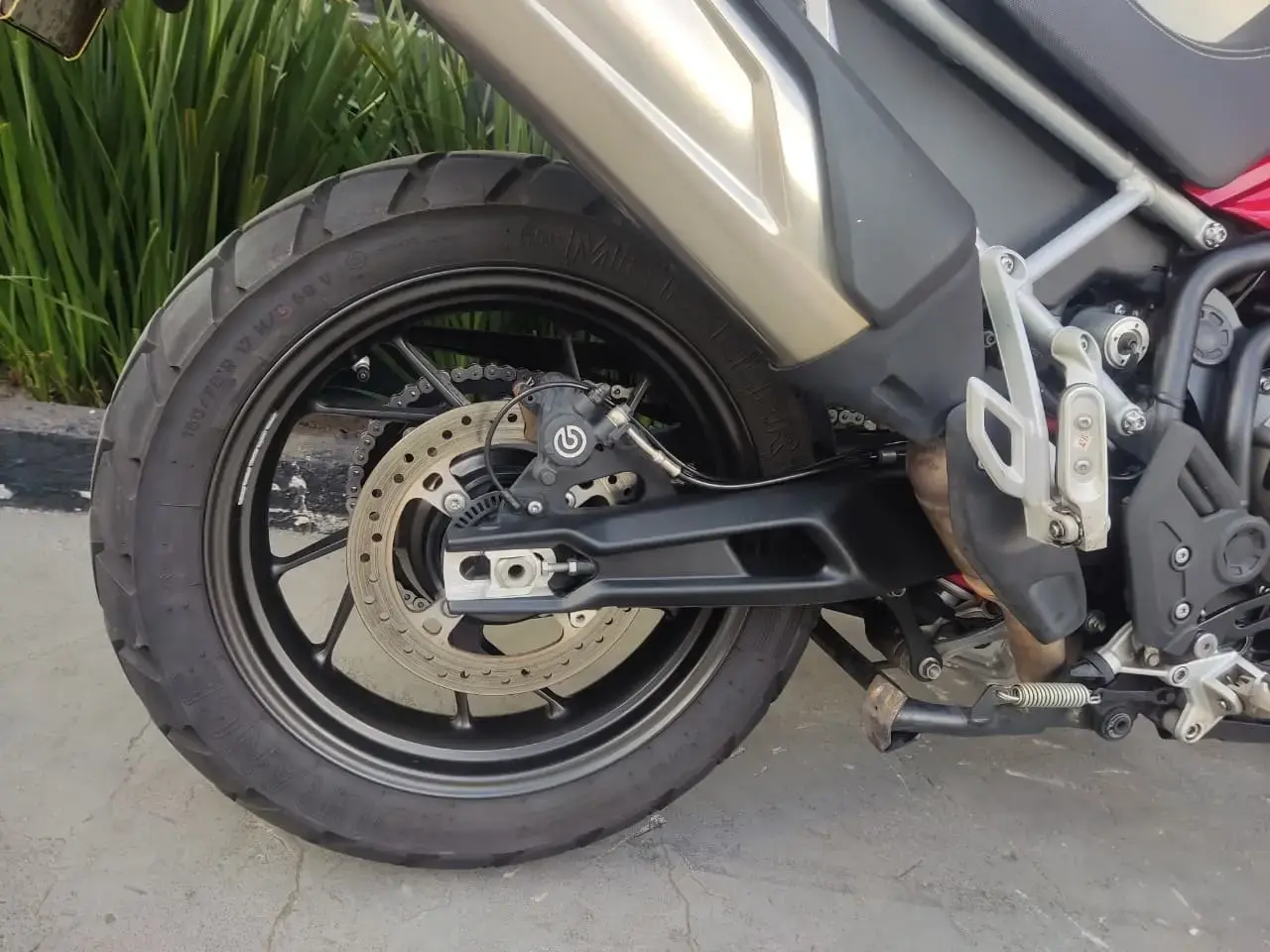 galeria Tiger 900