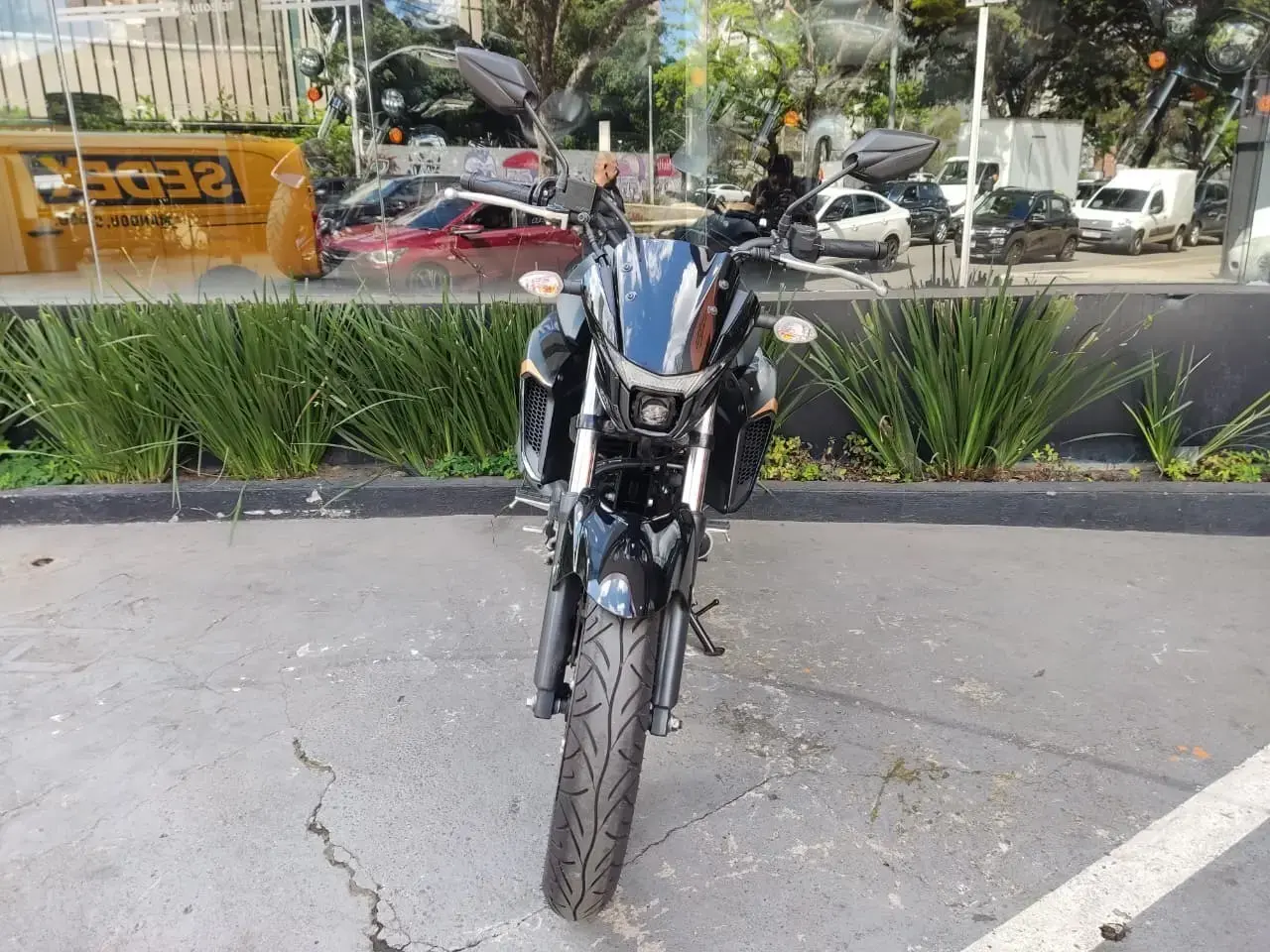 galeria Fazer FZ25