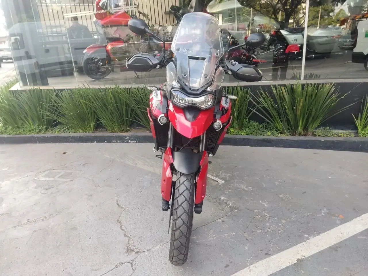 galeria Tiger 900