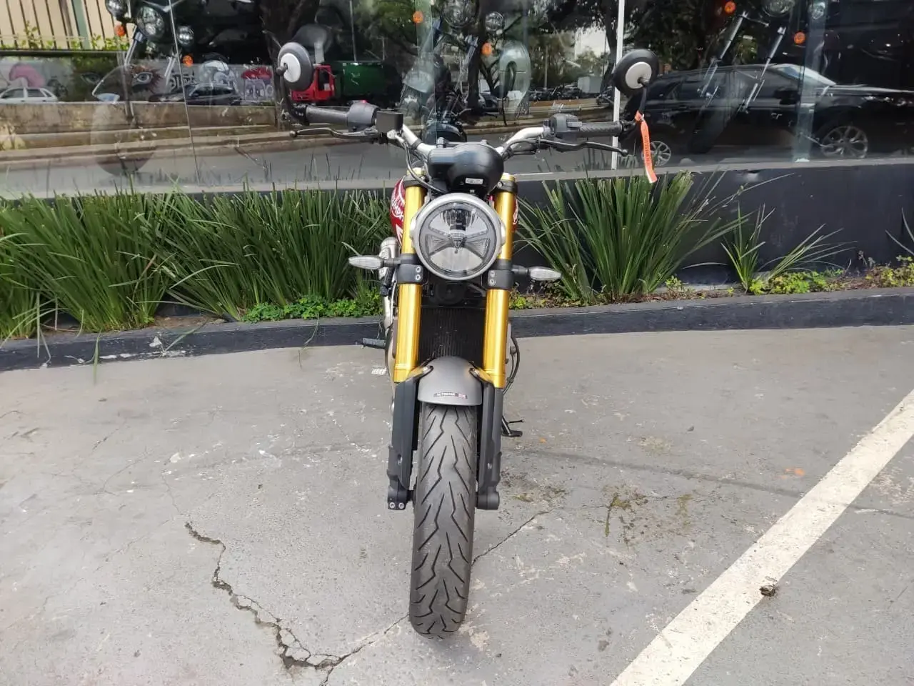galeria Speed 400