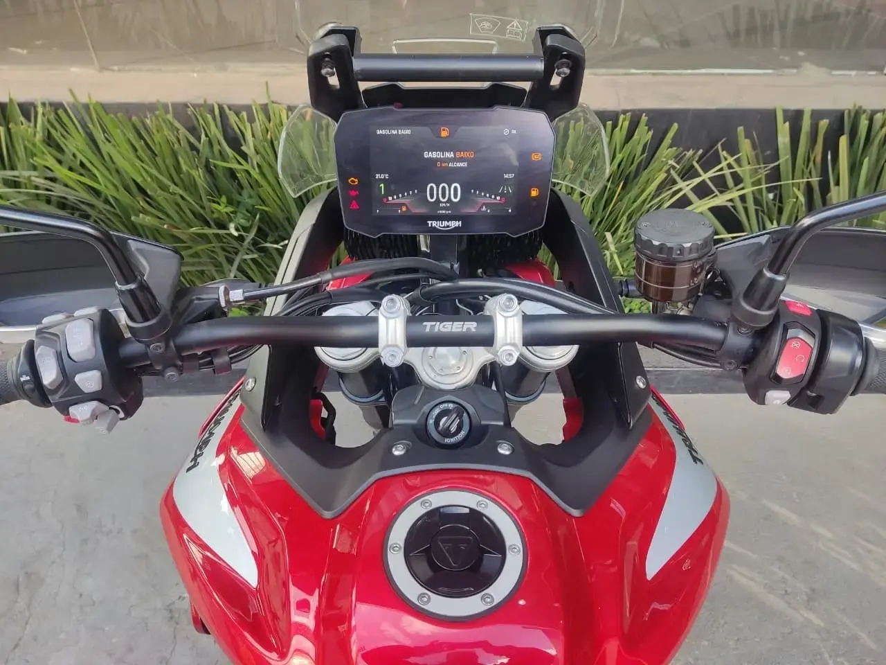 galeria Tiger 900