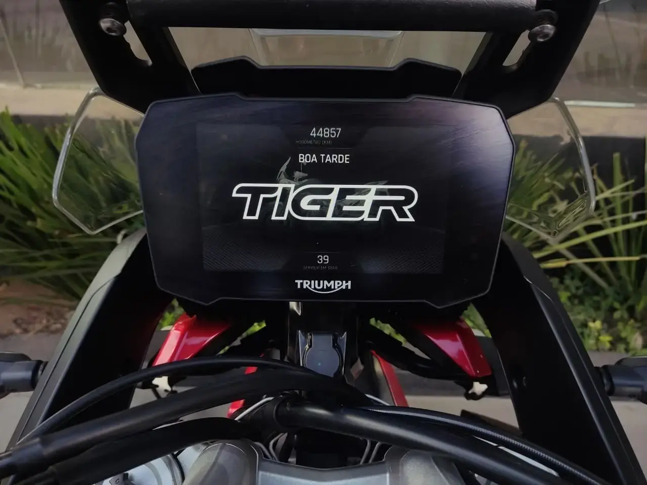 galeria Tiger 900