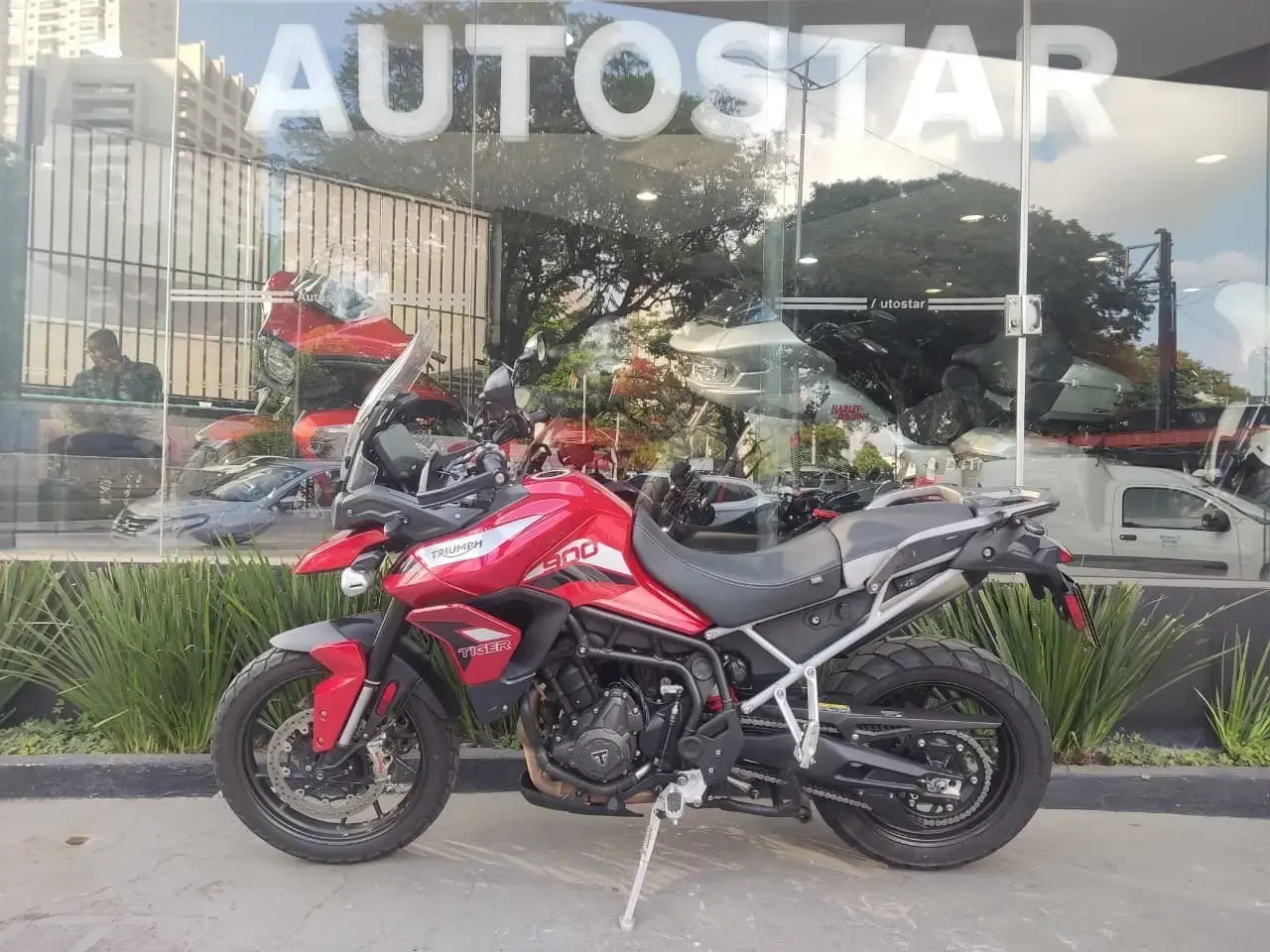 galeria Tiger 900