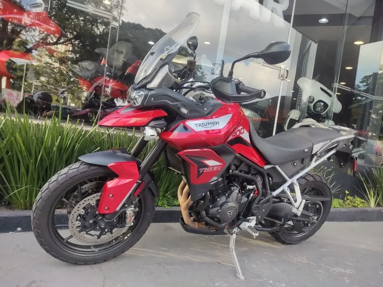 galeria Tiger 900