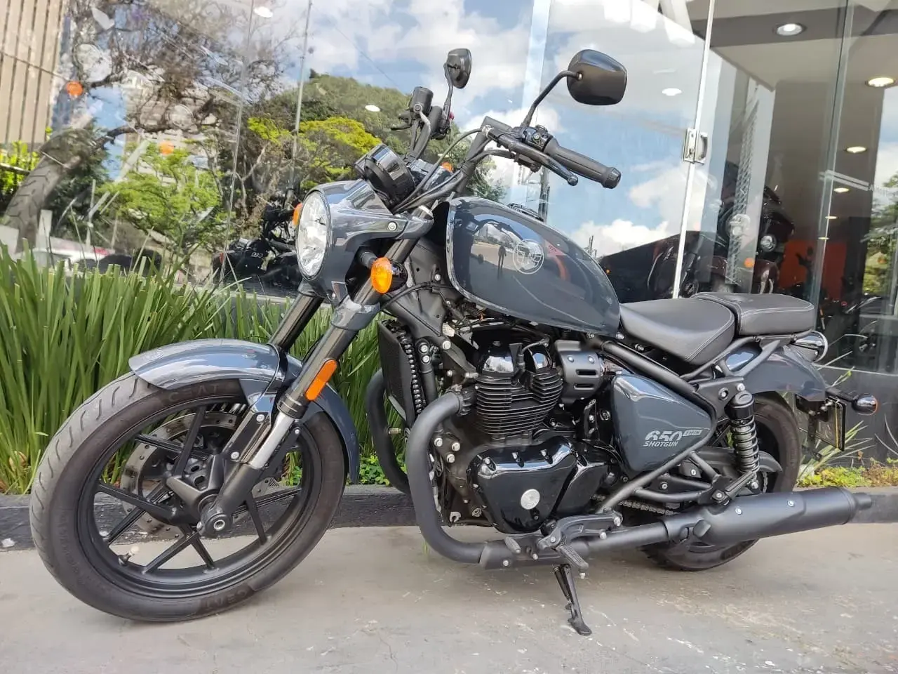 galeria Shotgun 650