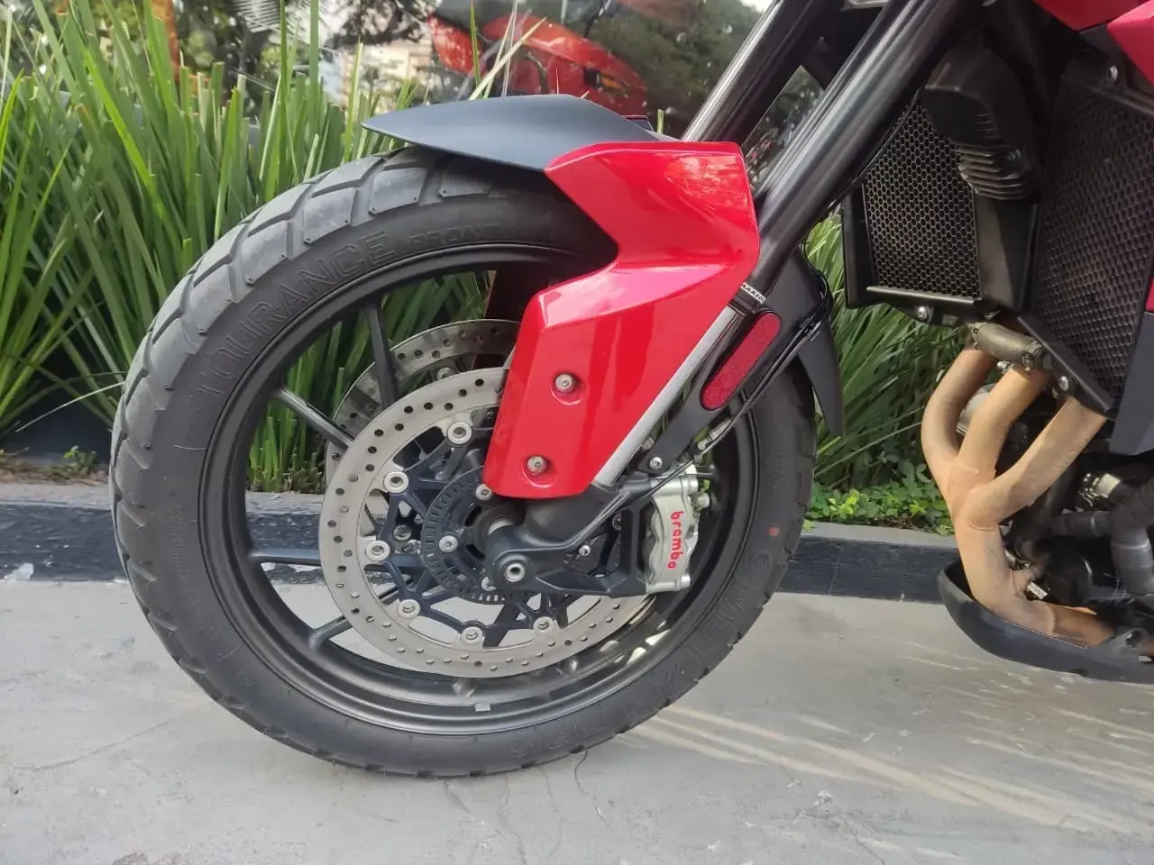 galeria Tiger 900