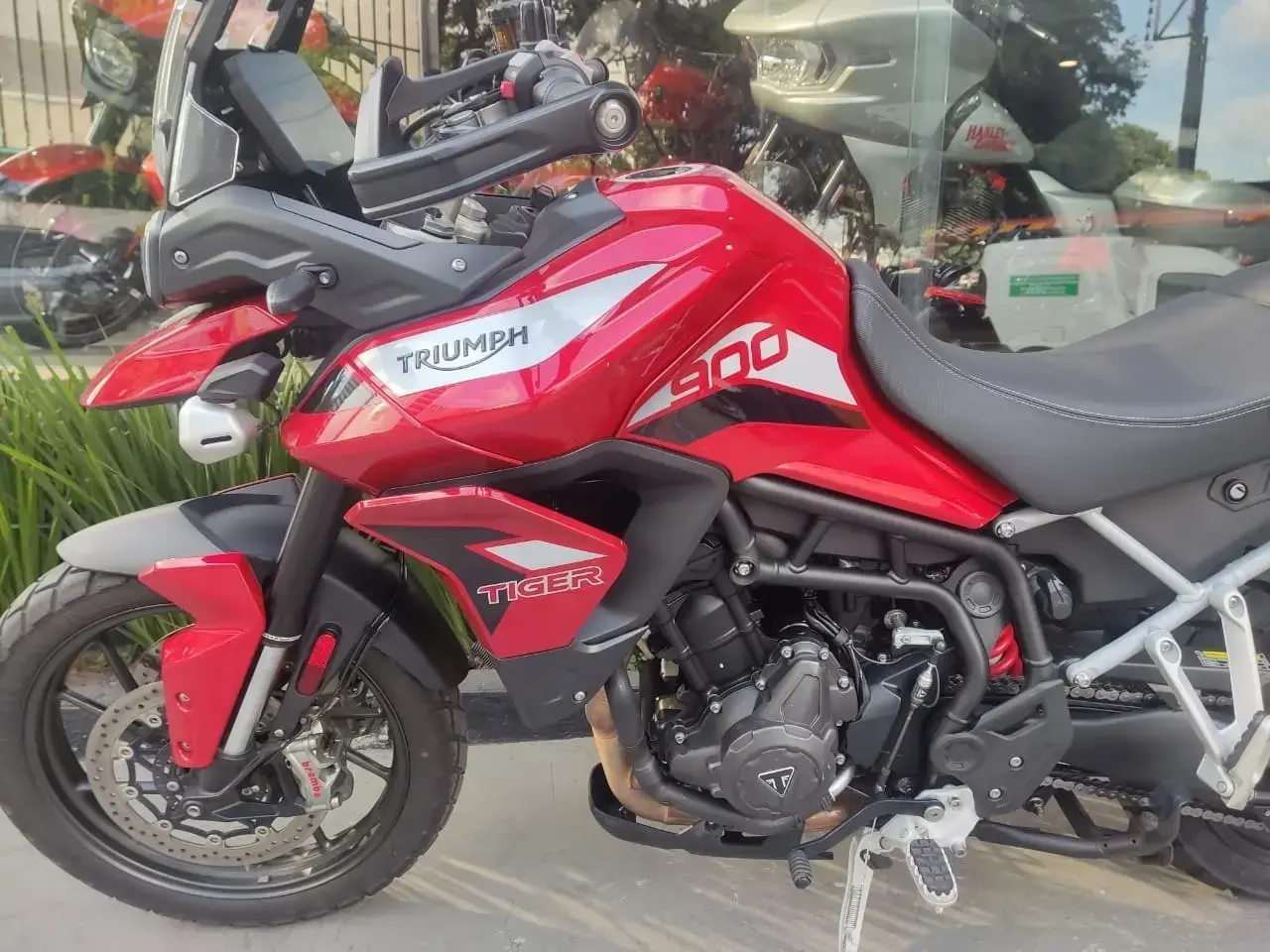 galeria Tiger 900