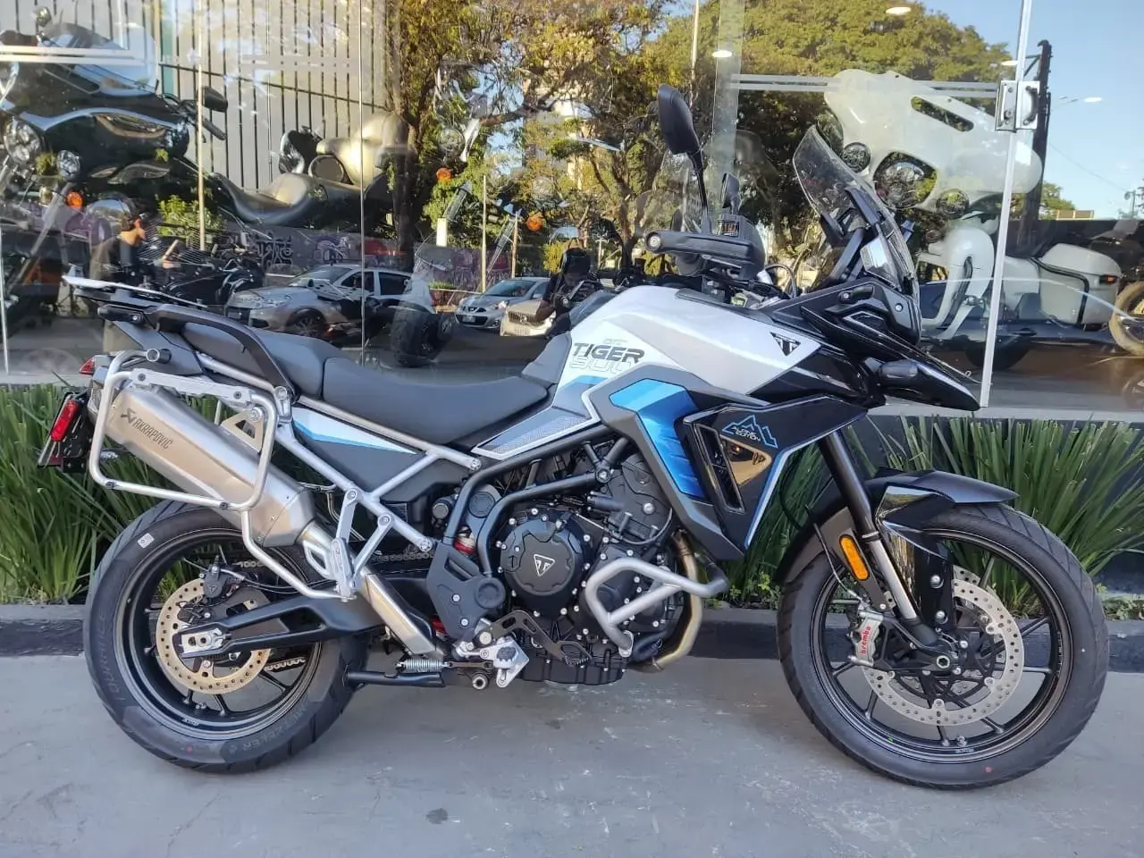 galeria Tiger 900