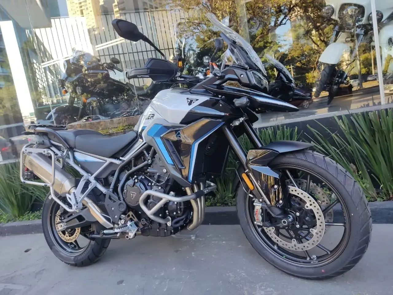 galeria Tiger 900