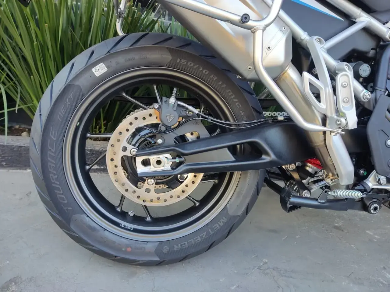 galeria Tiger 900