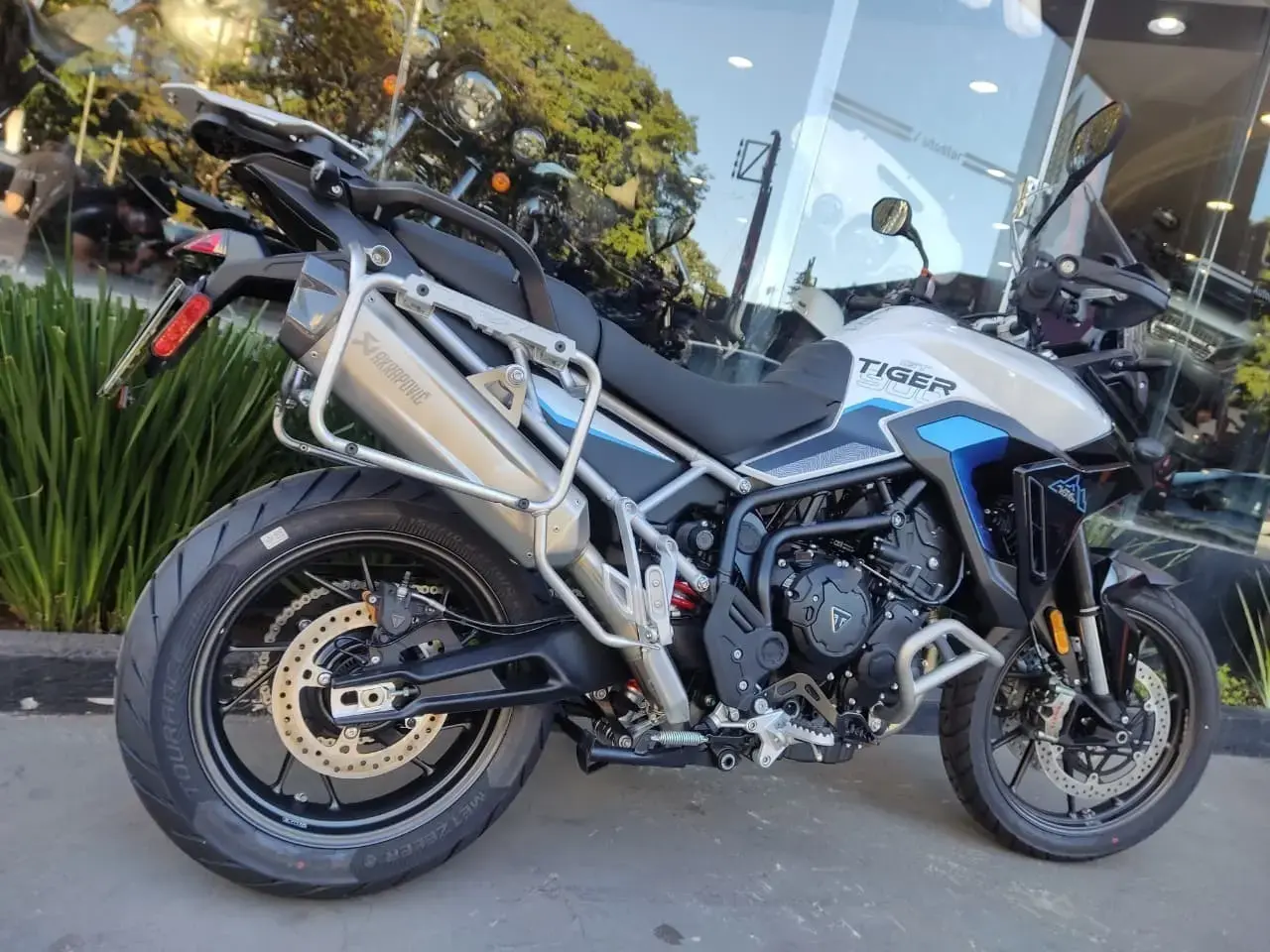 galeria Tiger 900