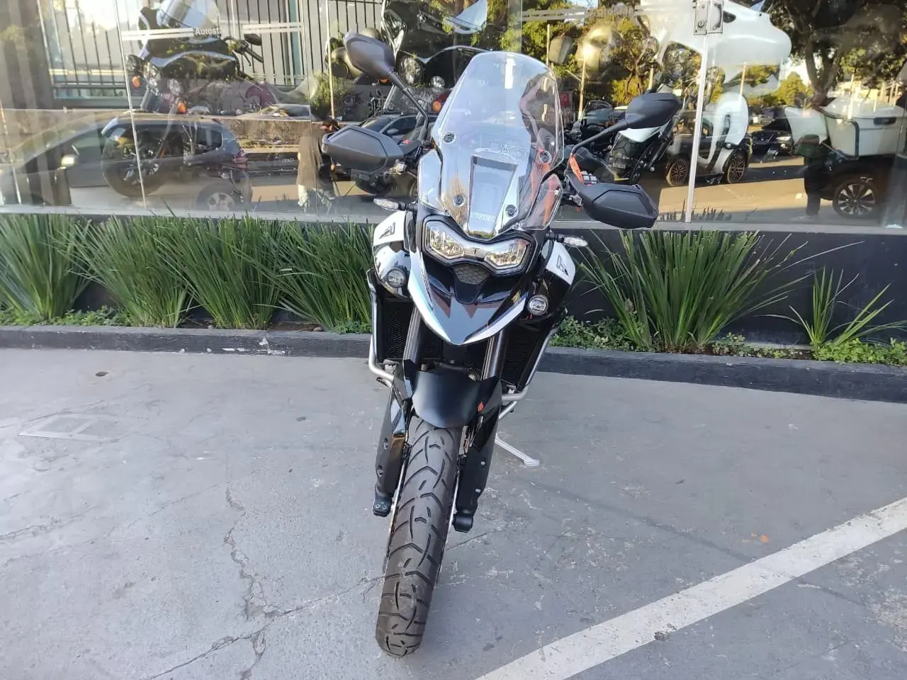 galeria Tiger 900