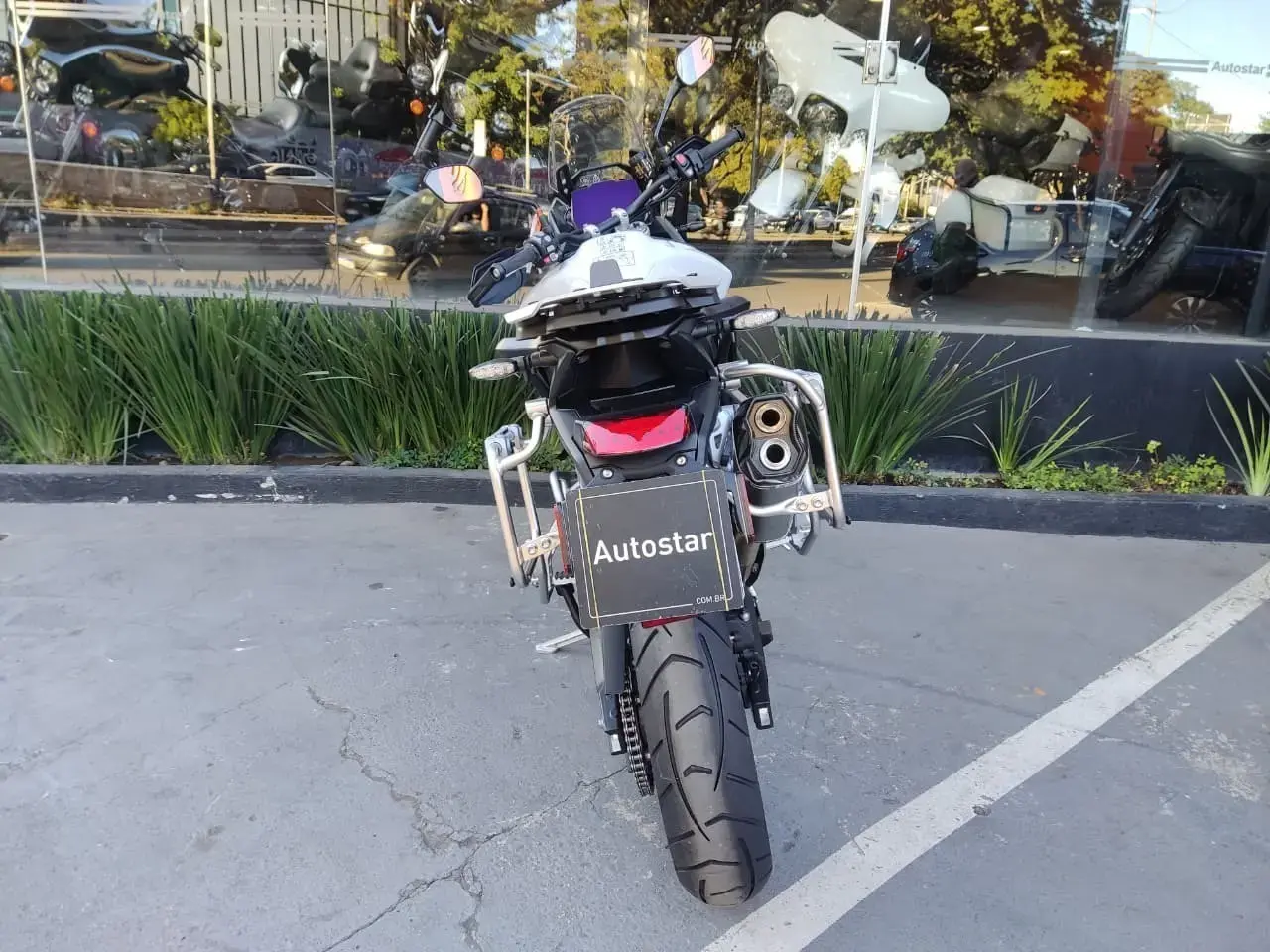 galeria Tiger 900