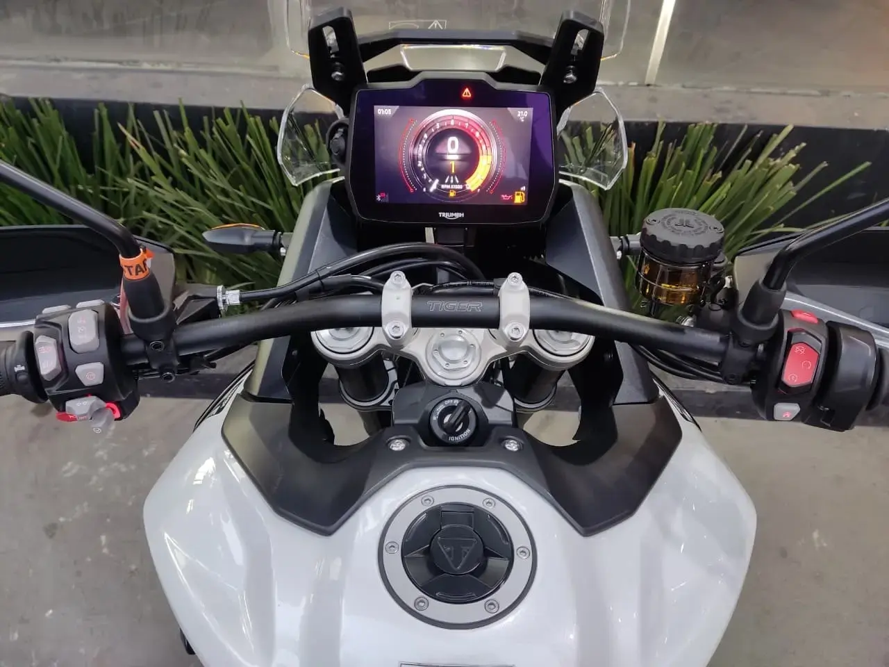 galeria Tiger 900