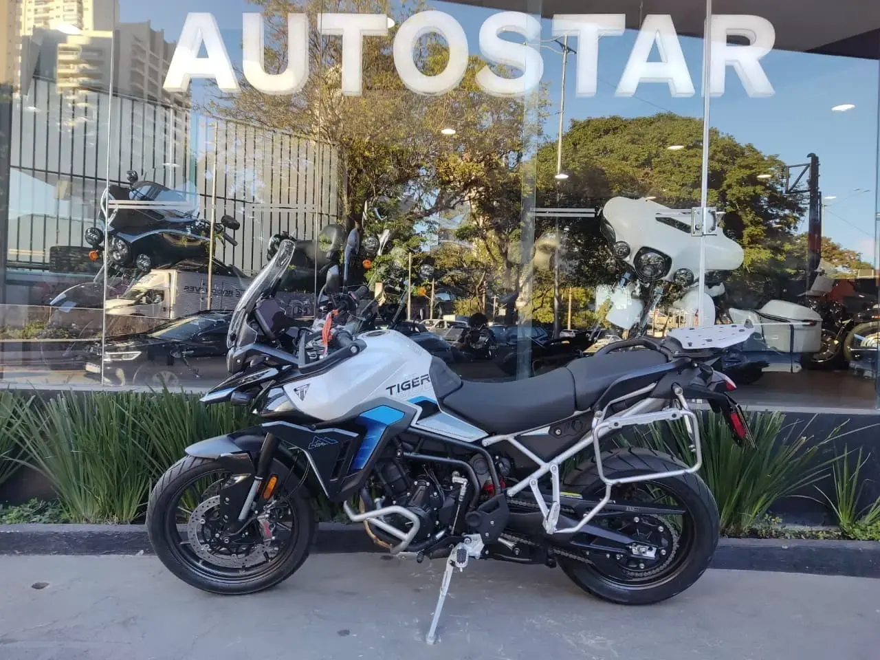 galeria Tiger 900