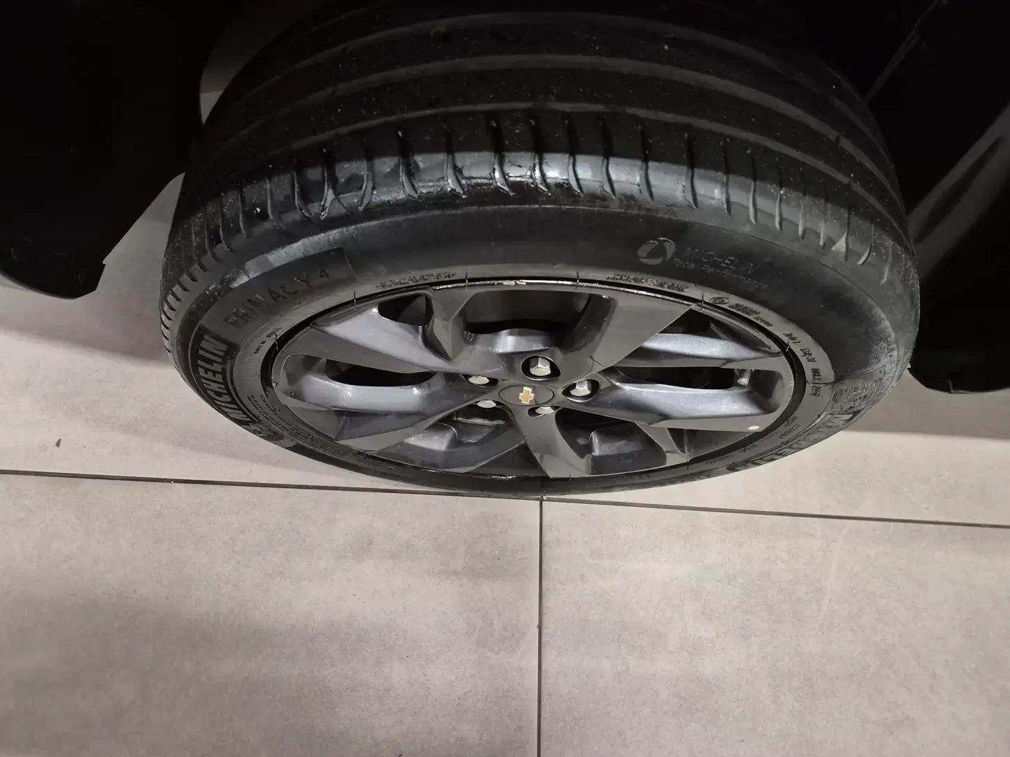 galeria MONTANA