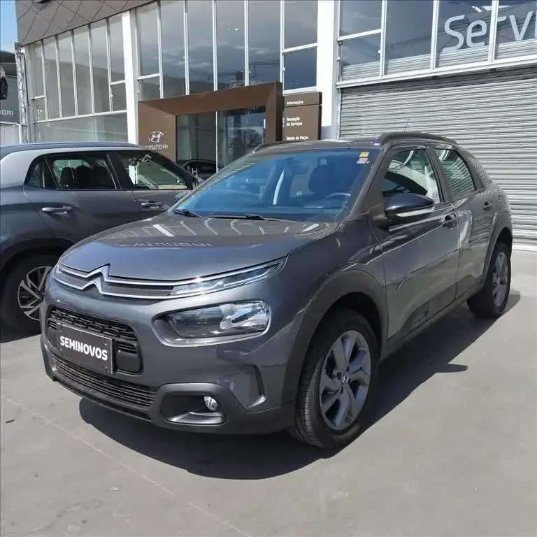 galeria C4 CACTUS