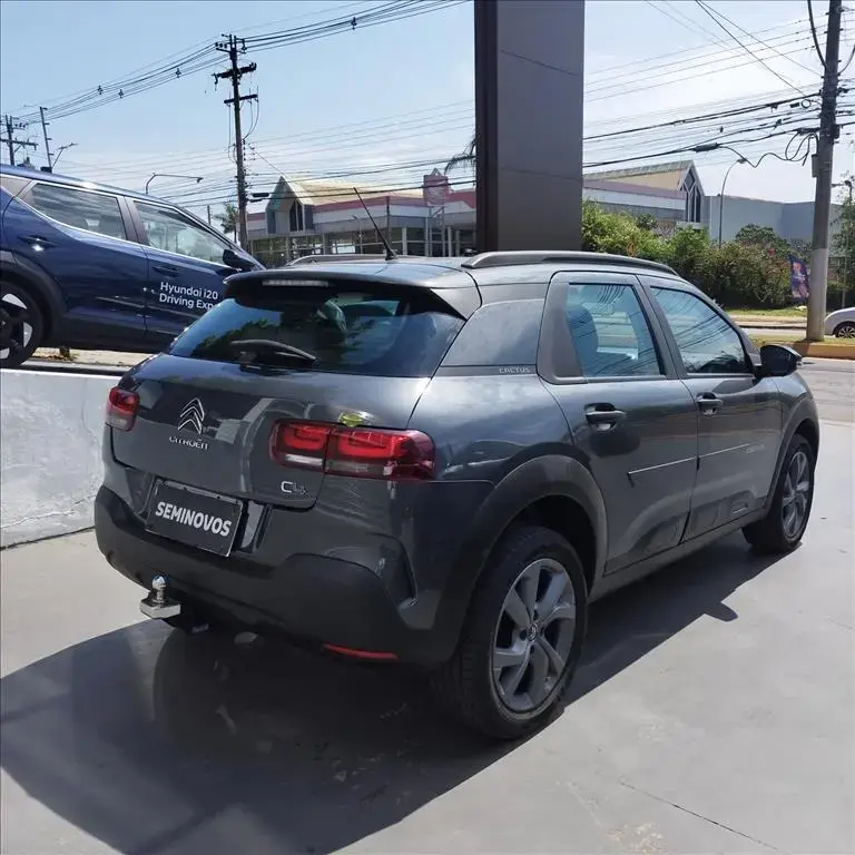 galeria C4 CACTUS