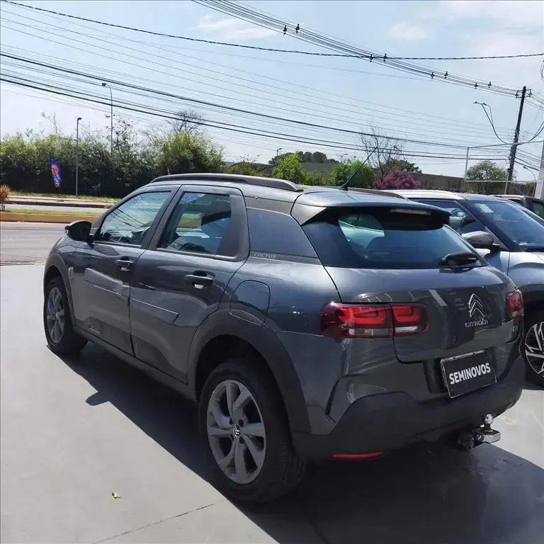 galeria C4 CACTUS