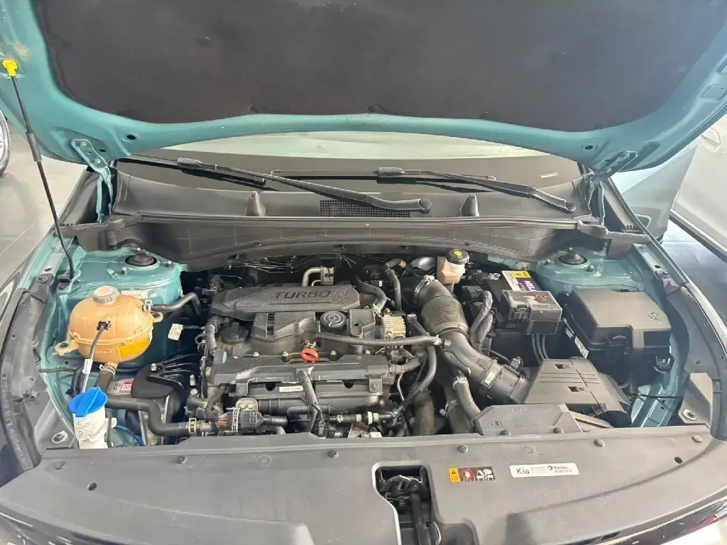 galeria SPORTAGE