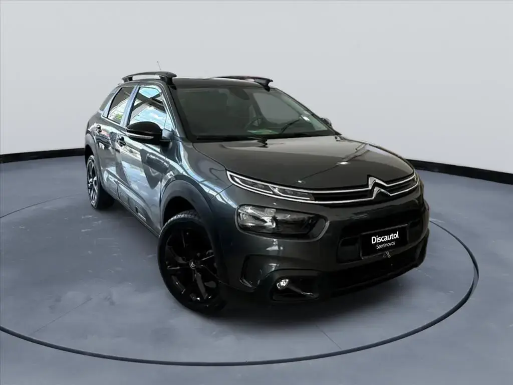 galeria C4 CACTUS