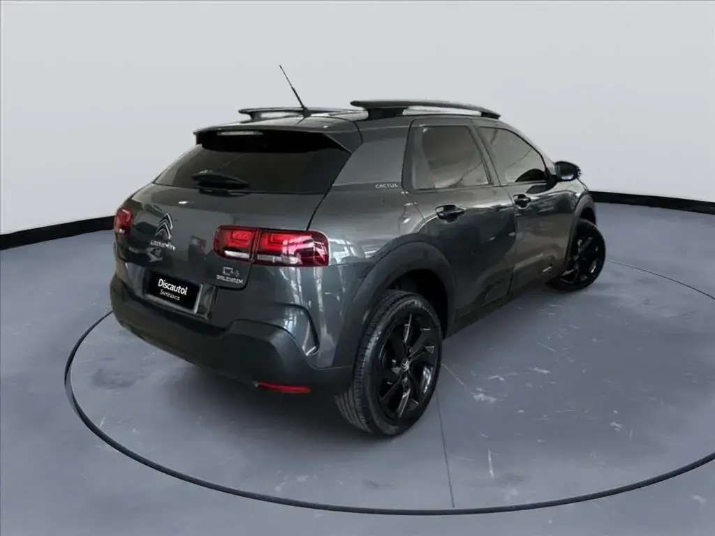 galeria C4 CACTUS