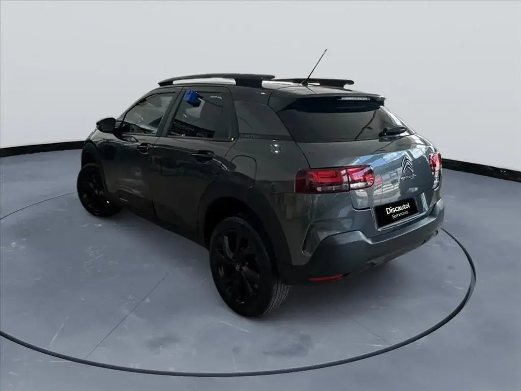 galeria C4 CACTUS