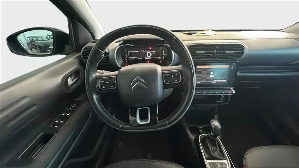 galeria C4 CACTUS