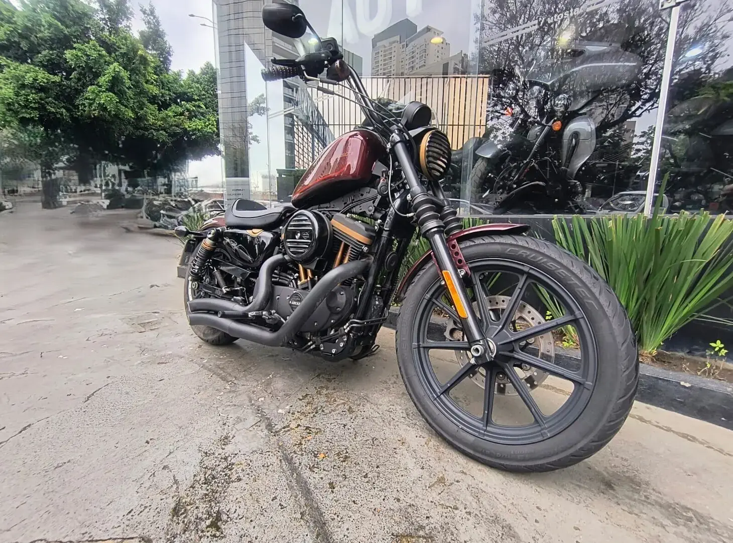 galeria Sportster 1200X