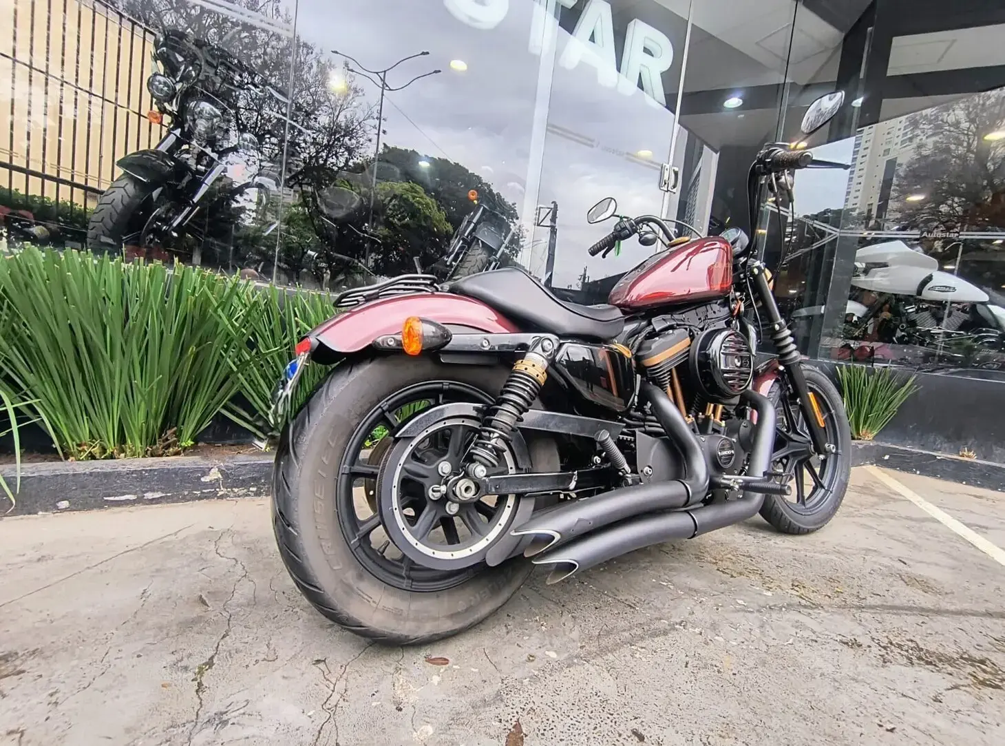 galeria Sportster 1200X