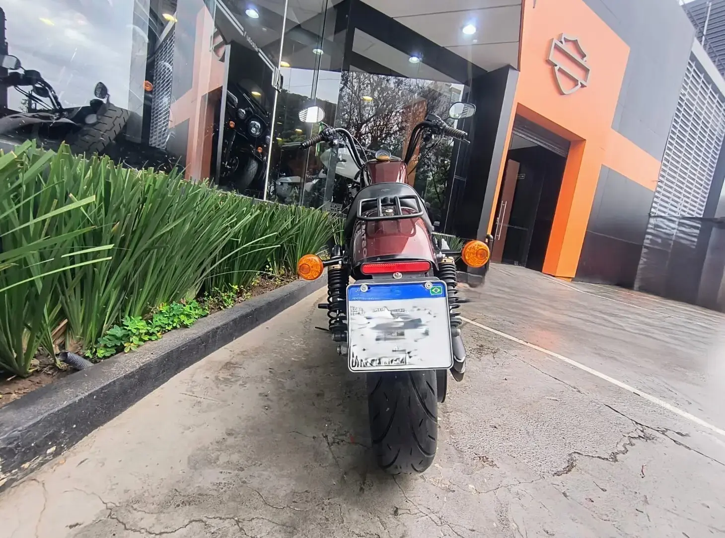galeria Sportster 1200X