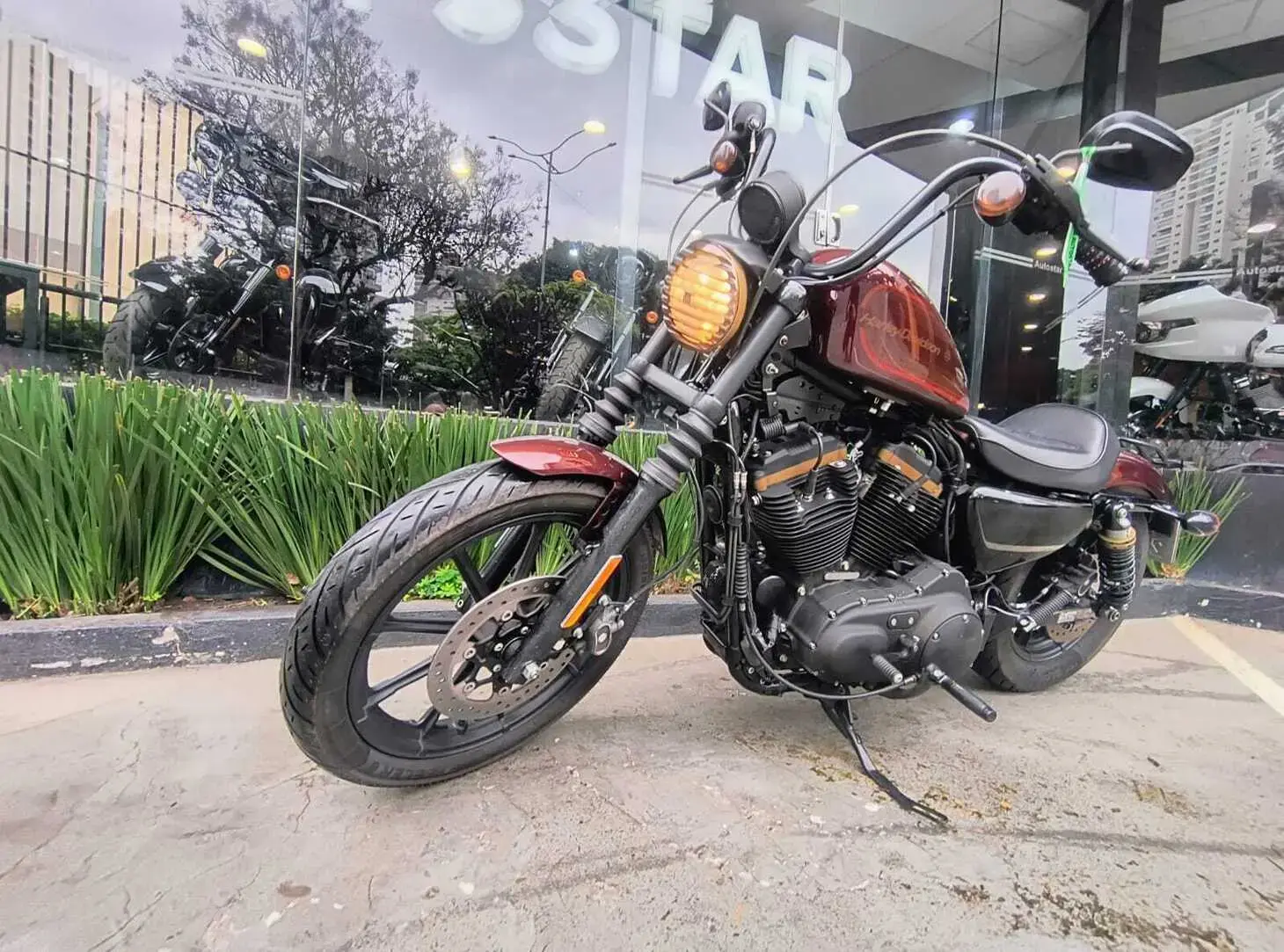 galeria Sportster 1200X