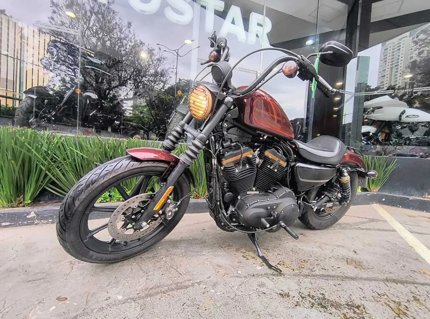 galeria Sportster 1200X
