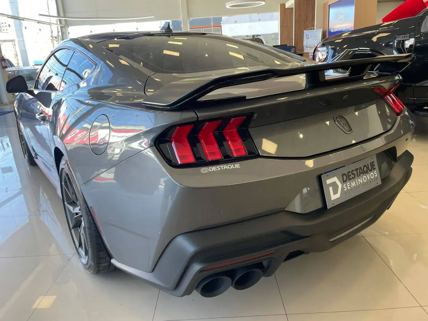 galeria MUSTANG