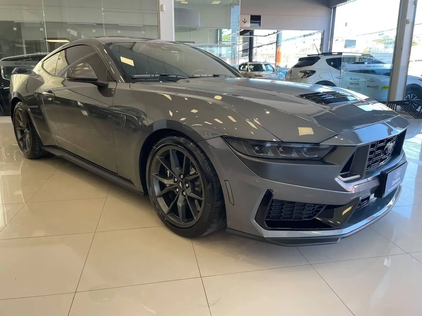 galeria MUSTANG