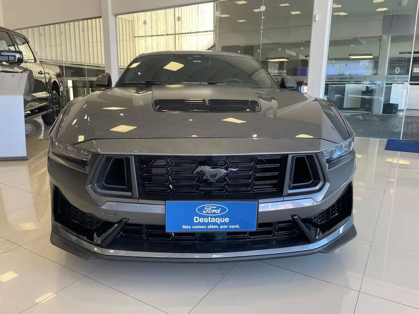 galeria MUSTANG